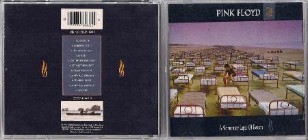 Pink Floyd - Momentary Lapse Of Reason